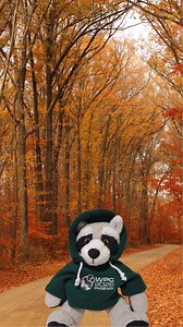 Join Me, Parky, at the 2026 World Parkinson Congress May 24-27. Register at http://wpc2026.org | Parky the Raccoon