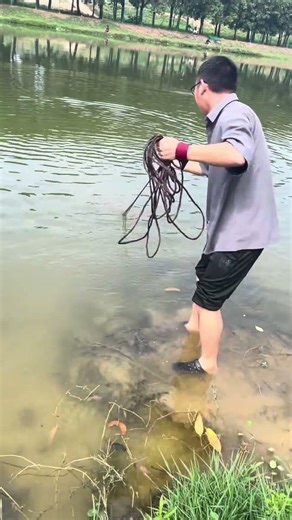Flying disc net fishing With one net in hand, you'll never have to worry about catching fish
