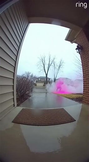 Trunk Open… Pink Boom 😂 (Caught on Ring Camera)