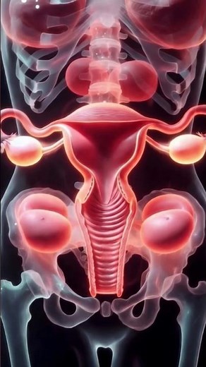 Female body System in 3D | Educational Biology Video. #education #humanbody #shorts