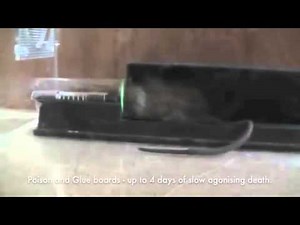 Nooski, an Innovative Rodent Trap