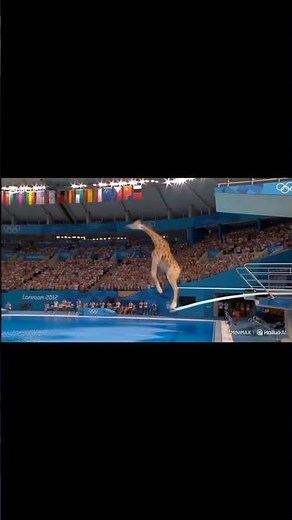 "Graceful giraffe swimming jump in stadium, crowd cheering loud like Olympic champion star"