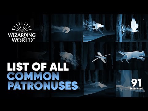 All Patronuses on Magical Mystery (Pottermore) || Common List || Hogwarts Legacy