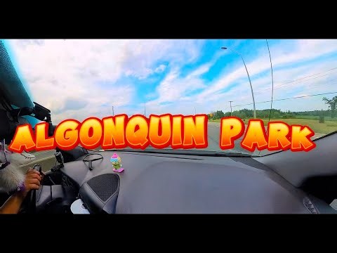 Algonquin Park - Rock Lake Campground