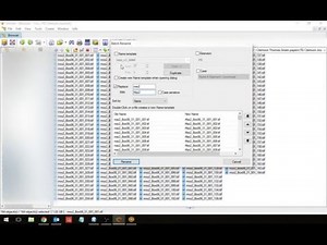 XNVIEW batch rename (no sound)