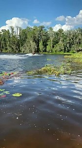 Forgot my chauffeur was off today. #floridacheck #florida #floridaboys #wakeskate #airboat #cowboyhat #floridaman | Florida's Best Boats
