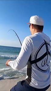 Watch what happens when you toss a big piece of ladyfish off the beach. | AnglerUp with Brant