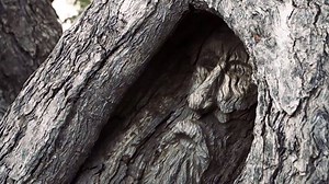 Located on the Adventure Way, the Dig Tree may be at the start or the end of your Outback adventure. The Dig Tree is a historic Australian landmark and an important one in the story of Burke and Wills. | Experience Outback Queensland, Australia