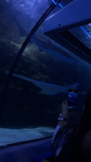 chitownjayy (@chitownjayy)’s videos with xscape - slowed & reverb - 13 Miles