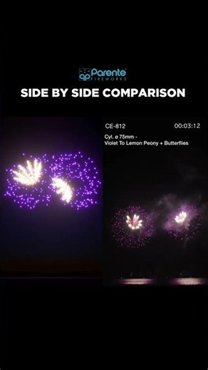 FWsim Shell | Violet to Lemon Peony + Butterflies (Ø75mm)