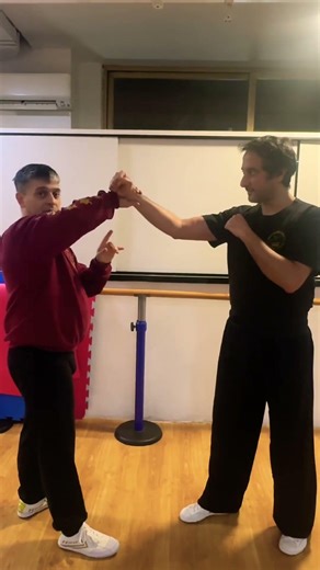 Break Structure, Remove Power | Seven-Star Praying Mantis