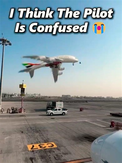 I Think The Pilot Is Confused 💀😭