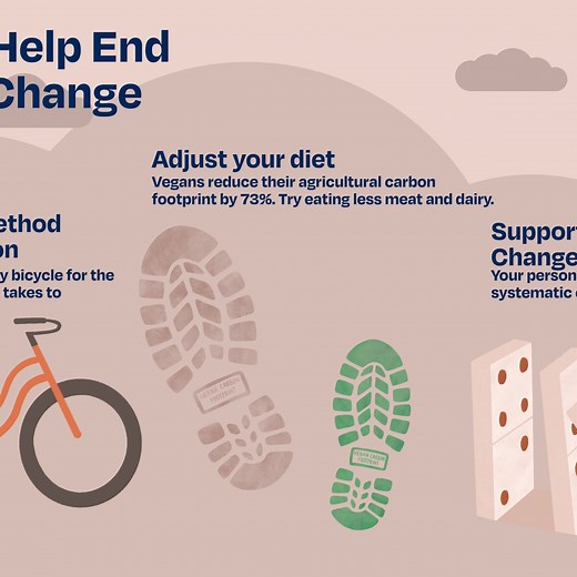 How You Can Have a Positive Impact on the Climate Change Emergency