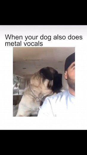 Mean Mug Pistons on Instagram: "Hardcore lunchtime 🤘🏾🤘🏾🤘🏾 Time for some good deadlifts for lunch! #workout #soberstrong #metroflex"