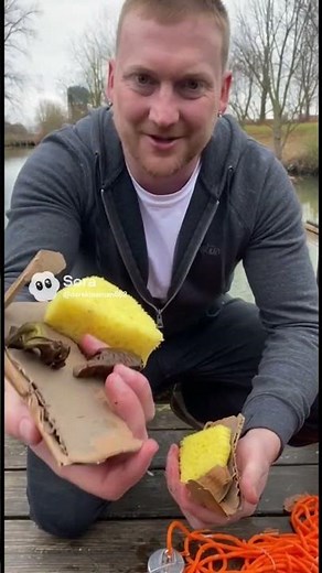 Catching SpongeBob SquarePants: