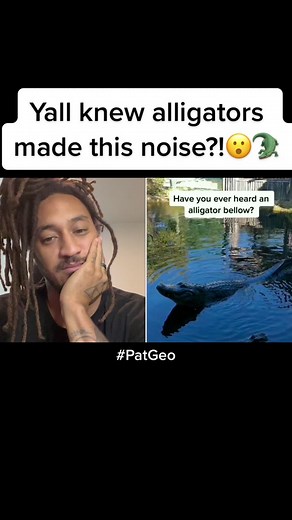 This is TERRIFYING 😳🐊 #PatGeo