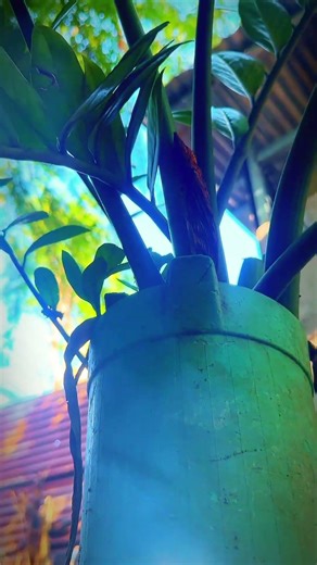 sinimatik bidiyu #editing