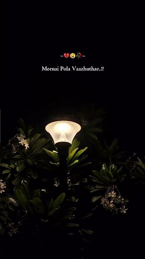Kanave Kanave song lyrics #trending #sad #viralsong #whatsappstatus #trendingshorts #lyricist