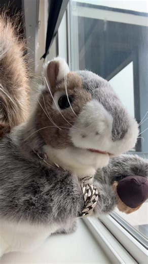 Discover the Fun of Squirrels in Dance Challenges