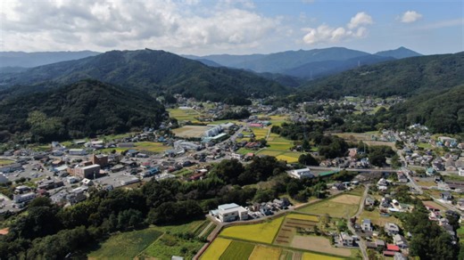 Japan is losing people, but is it all bad?