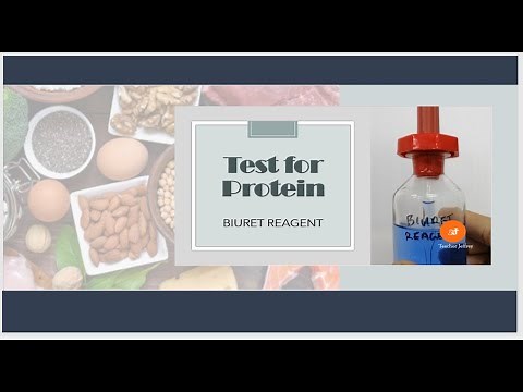 Test for Proteins using biuret reagent