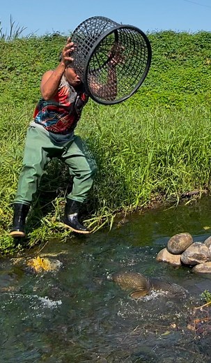 1.8M views · 4.2K reactions | Carp into shallow water | DONG ALLAN TV | Facebook