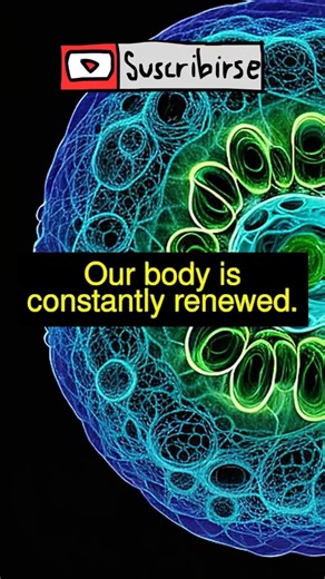 Discover the Power of Cellular Regeneration in Our Body