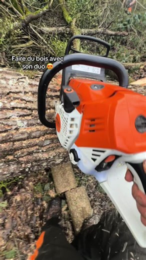 Faire du bois avec son duo : une aventure unique
