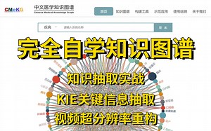 【Knowledge Graph】完全自学知识图谱！计算机博士半天时间带你掌握知识图谱应用实战！