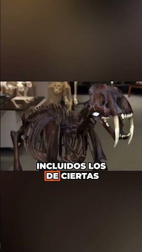 The hidden truth behind dinosaurs that no one tells you!
