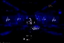 Безумные гортензии - Сало