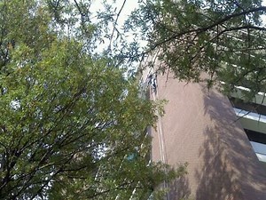 PHOTOS: High-Rise Rescue