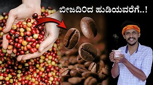 How coffee is made.. full process🤩 For more details please visit : http://vidyacoffee.com To buy Vidya coffee : https://www.amazon.in/s?me=A3LW0071DVXKWI&marketplaceID=A21TJRUUN4KGV Vidya coffee Facebook page : https://www.facebook.com/vidyacoffeeandtea?mibextid=ZbWKwL | Bhat‘n'Bhat