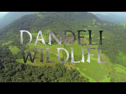 DANDELI WILDLIFE