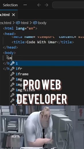 beginner vs pro web developer 2/10