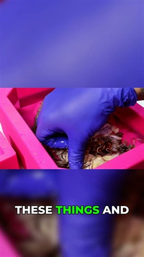 Tap & Pop! The Gentle Way to Remove Resin Bubbles #epoxy #resin