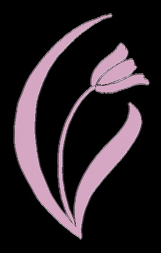 Aesthetic Dermatology - Village Dermatology