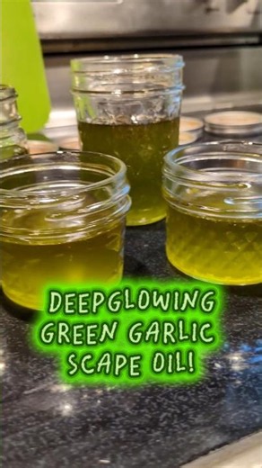 Garlic Scape Oil Recipe from Homegrown!!! Gorgeous and Flavorful!