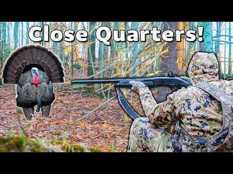 Gobbler at 10 YARDS!! (New Hampshire Turkey Hunting)