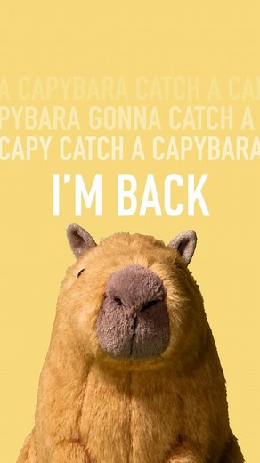 Jellycat on Instagram: "Capy’s back! Catch him if you can… #clydecapybara #sharingjoy #jellycat #jellycatlondon #jellycatcollection"