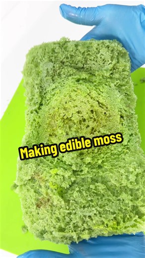 Making edible moss forest cake woodland cake moss cake #moss #woodland #forestcake #cakes