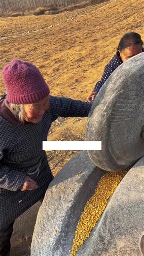 Transferring Yellow Corn Kernels Using a Stone Grinder