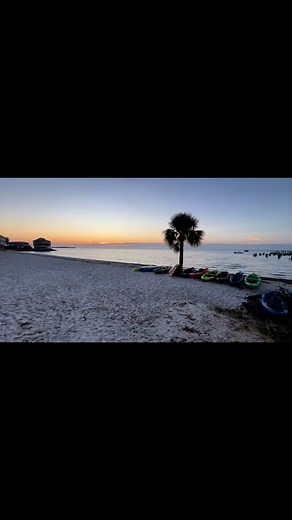 15K views · 569 reactions | Good morning from Cedar Key ️ | Living Cedar Key | Facebook