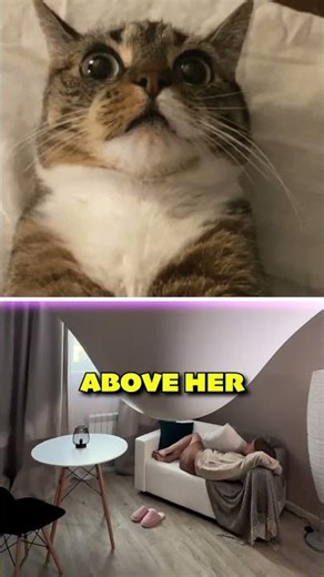 Why Stretch Ceilings Are PURE GENIUS! #facts #interesting