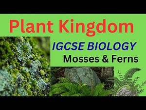IGCSE Biology: Mosses vs Ferns (Super Easy Explanation!)