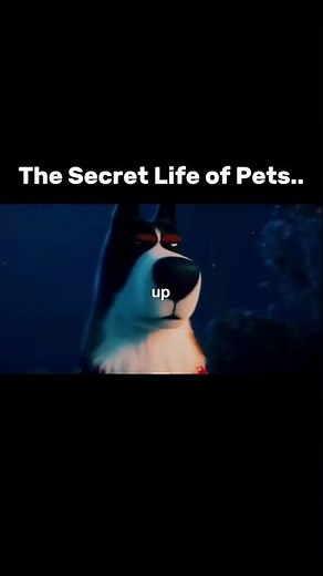 The Secret Life of Pets.. #viral #cartoon #inspiration #viralcontent #movies #viralreels