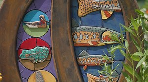 Colorful ceramics and climbable wooden benches—public art is everywhere in Nature Play! From glazed sculptures filled with Colorado wildlife to a beaver dam bench carved from reclaimed logs, artists Gregory Fields and ChainsawMama (Faye Braaten) have helped transform the four-acre play space into a creative, interactive experience that evolves with every season. Fields’ work features 66 native species inspired by Colorado’s ecosystems and the Museum’s own dioramas, blending science, art, and ima