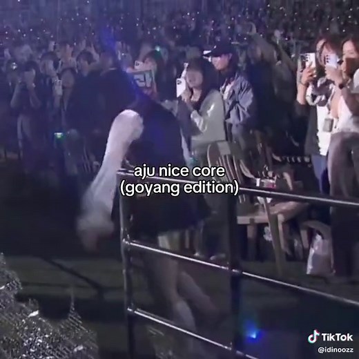 Matching Carats with SEVENTEEN's Aju Nice | Concert Moments