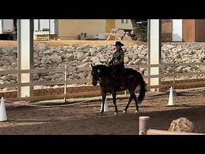 Western Dressage Level 1 Test 1- WDAAZ February 16 2025