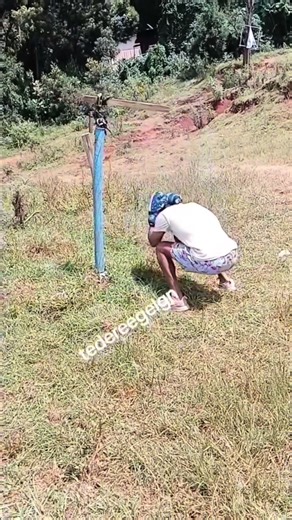 Funny Moments to Brighten Your Day